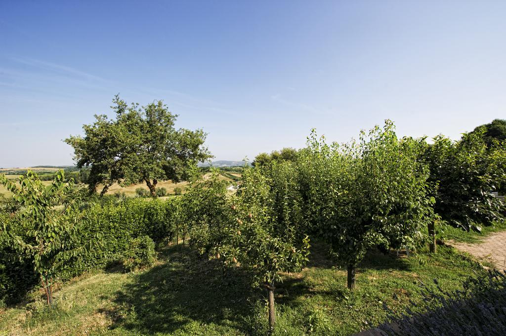 Agriturismo I Roseti Montepulciano Stazione Zimmer foto