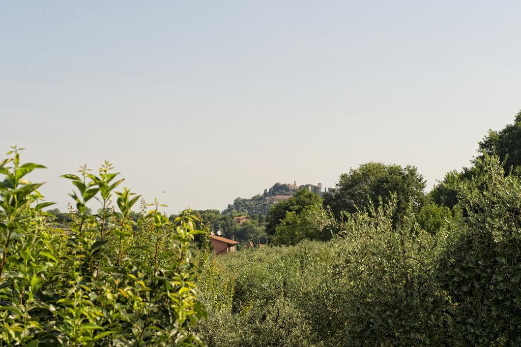 Agriturismo I Roseti Montepulciano Stazione Zimmer foto