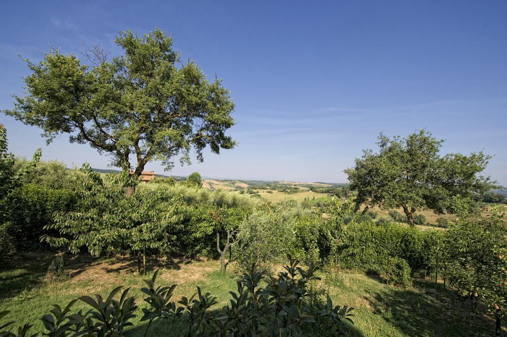 Agriturismo I Roseti Montepulciano Stazione Zimmer foto